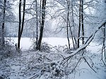 Passeggiata sotto la neve sulla ciclabile della Quisa e i colli tra Bergamo e Sombreno il 6 gennaio 2009  - FOTOGALLERY